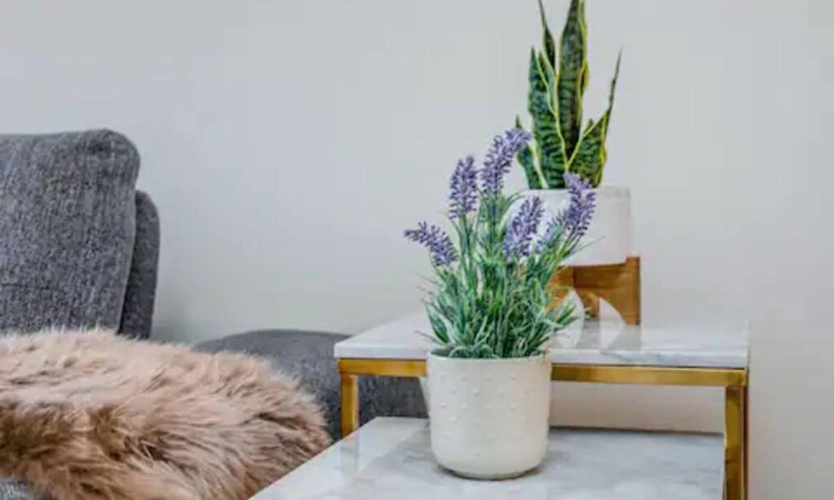 Longueuil House | Nice Cozy & Unique Place Free Parking