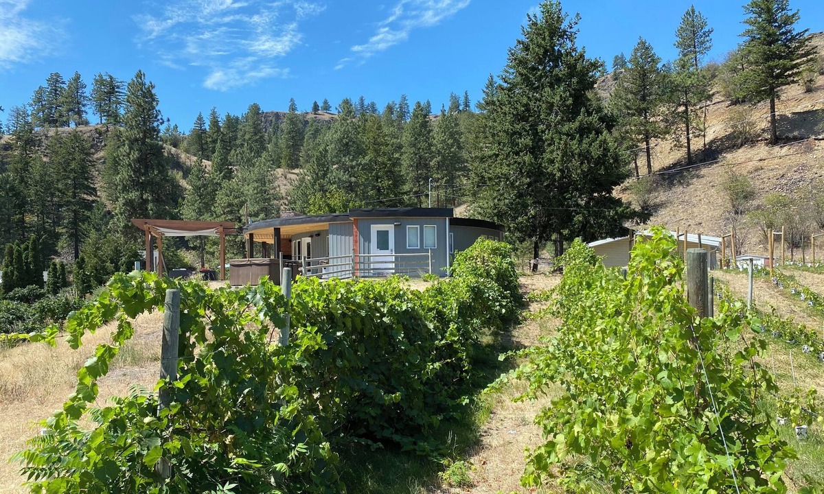 Okanagan-Similkameen House | Roundhouse Ridge - Vineyard, Hot Tub and Acreage to Explore!