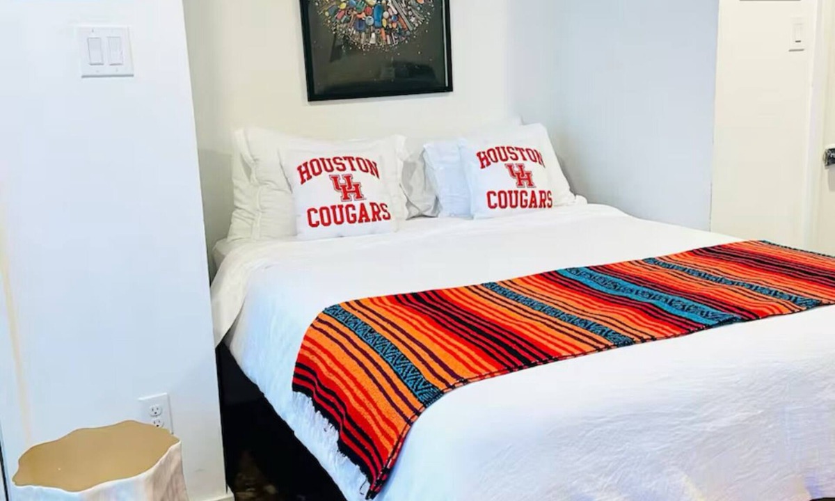 Hyde Park Apartment | UH Coogs' Studio 8 in walkable Mid-town Houston Montrose centralized location.