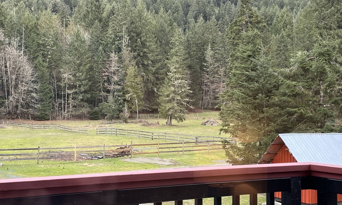 Duncan House | Warm, inviting updated 2 bdrm house in the forest-only minutes to town centre.