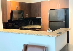 Luxury Highrise Loft Downtown ATL