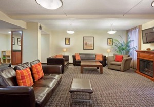 Prime Location! 4 Relaxing Units, Near Old Port, Place des Arts, Notre Dame