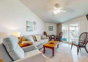 Sand Dollar E205