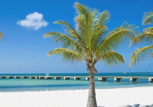 Welcome to Paradise! Lavish and Relaxing 3 Classy Units, Enjoy the On-site Pool!