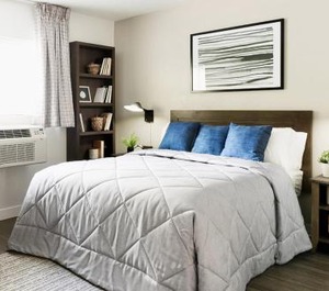 Comfort Arlington 