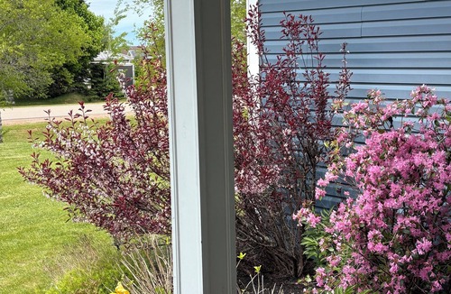 Summerside Apartment | Air conditioned apartment all set for romantic get away or your work holiday!