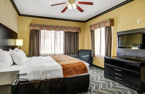 Rowlett Hotel | Candlewood Suites Rowlett - Lake Ray Hubbard by IHG