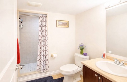 Halton Regional Municipality Apartment | Cozy and private 1-bedroom basement apartment in a serene Milton neighborhood