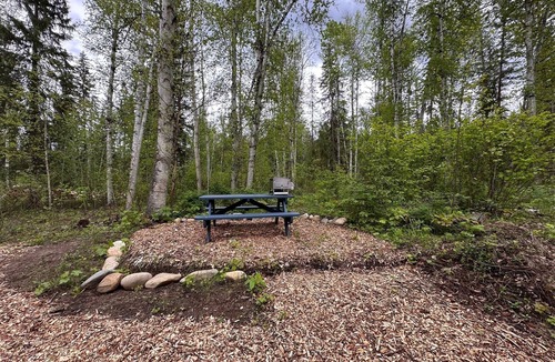 Vavenby Cabin | Cozy Farm Stay Forest Cabin