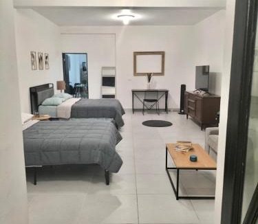 Monterrey Centro Apartment | Depa Loft Monterrey cerca de Fundidora, Macroplaza y Barrio Antiguo