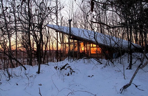 Plantagenet Cabin | Extraordinary Tree House-Style Glamping Cabin on Farm near Ottawa