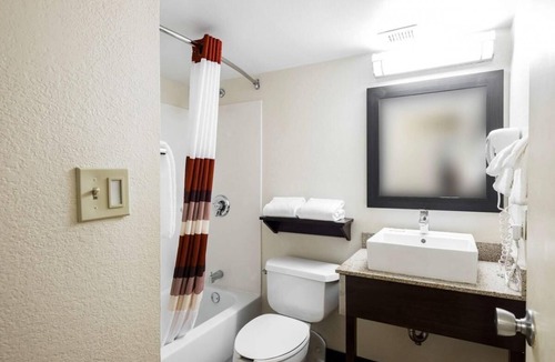 Downtown San Antonio Hotel | Great Amenities & Convenient Location! Pets Allowed, Minutes to The Alamo!