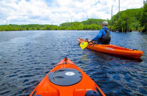 Wewahitchka Other | Lakeside Glamping with Free Kayaks & Fishing