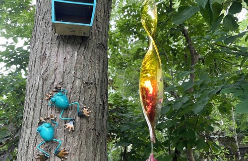 Willowdale House | Little slice of heaven n heart of Toronto.