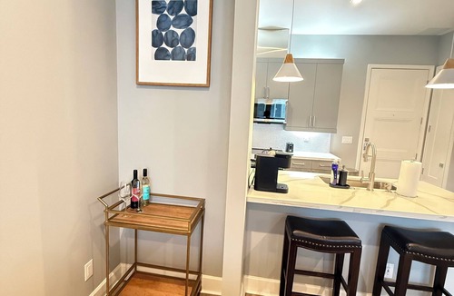 Cedars Apartment | Luxury Modern King Bed Heart of Downtown Dallas