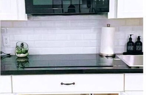 Houston Apartment | Luxury Studio-Apt w/Jacuzzi 8 mi from IAH