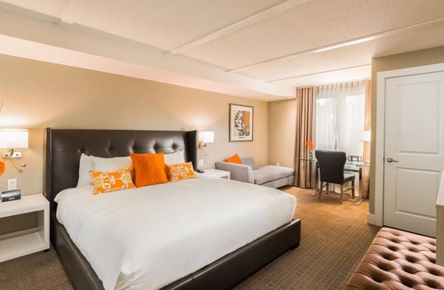Collingwood Condo | Modern 1-bedroom condo minutes from Blue Mountain