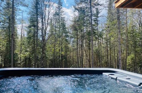 Saint-Faustin-Lac-Carre Apartment | Mont-Blanc - SPA - Plein air -
