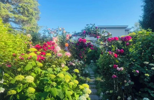 Surrey Bed & Breakfast | Private 1BR Garden Suite Private Entrance Kitchen bathroom Near White Rock Beach