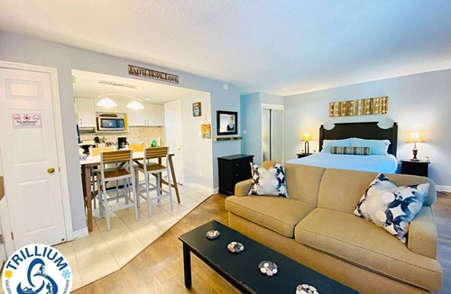 Craigleith Condo | Slopeside Condo - Wifi, Linens/Towels, Ski In/Out