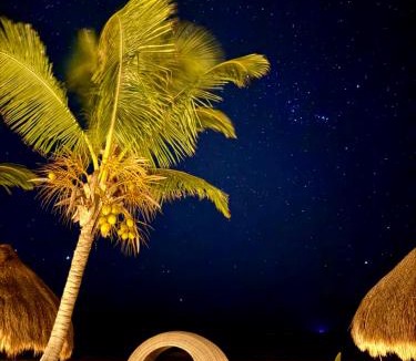 Zona Hotelera Hotel | Sueños Tulum