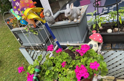 Willowdale House | Sunrise room. Wake up to the sun and birds singing in the heart of Toronto