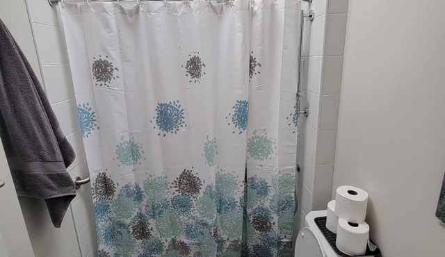 1 bedroom apartment in historic Danforth home
