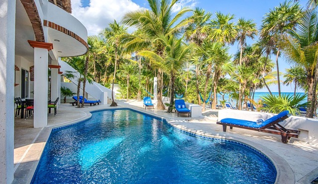 5-Star Experience! Oceanfront Villa w/Private Beach + Pool, Snorkelling