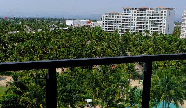 Acapulco Diamante Apartment (pet friendly)