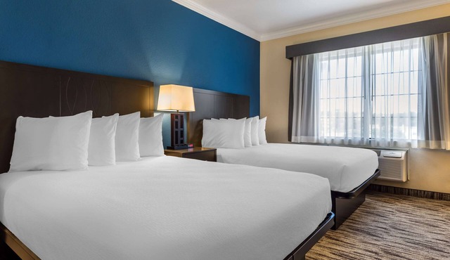Best Western Dinosaur Valley Inn & Suites