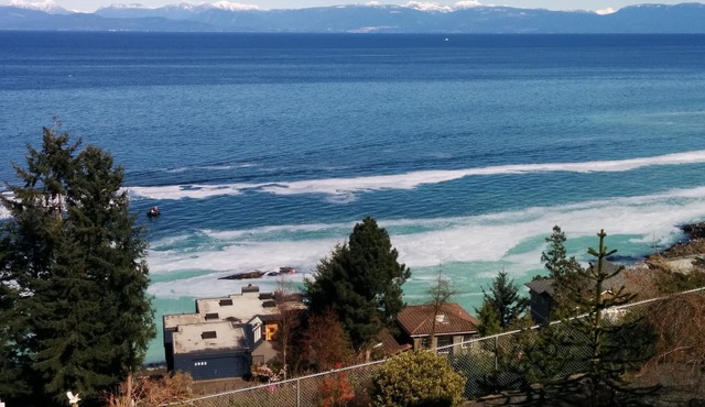 Big Vista Ocean View and Garden Suite. Minutes from the Salish Sea Shore!