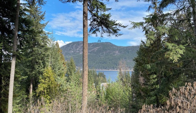 Blind Bay Chalet with lake views, privacy, sauna, hikes, golf, 5 mins to beach