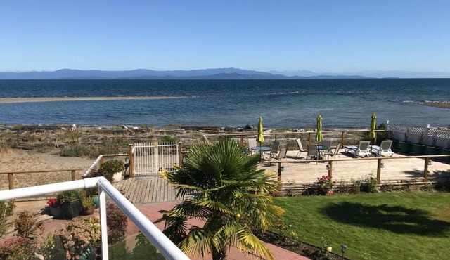 Buena Vista by the Sea