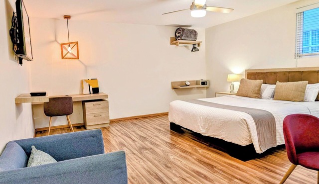 Casa Donceles Studio with King Bed, Kitchenette, Complimentary baggage storage.
