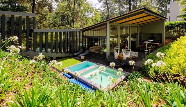 Casa Helechos, Amazing Architecture with Forest Views