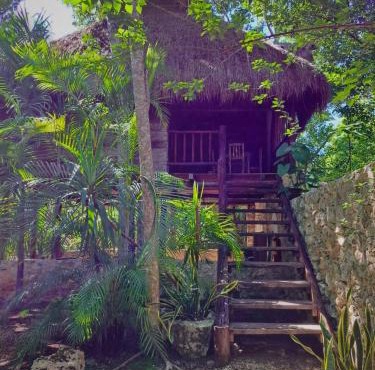 Casa Mango