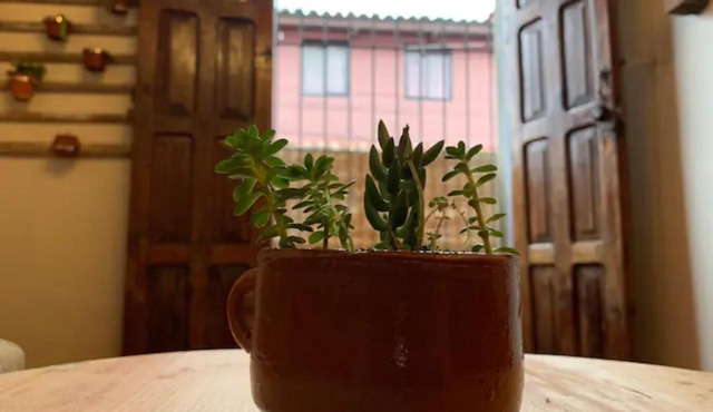 Casa PiYo