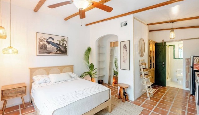 Charming 1 bed Apartment in lovely Miami with AC, TROPICAL FOOD FOREST GARDEN