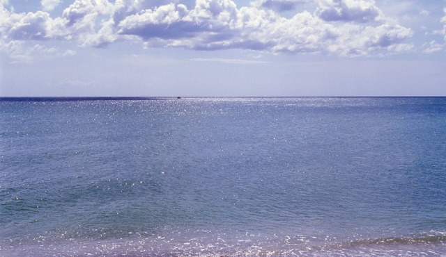 Charming Apartment With Private Beach Access in Venice, FL