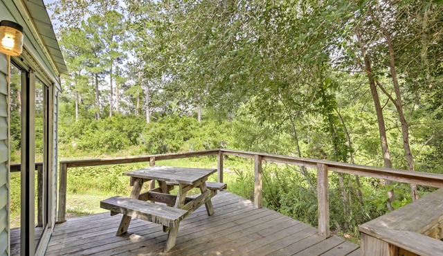 Charming Silver Springs Cabin w/Forest Views! in Silver Springs