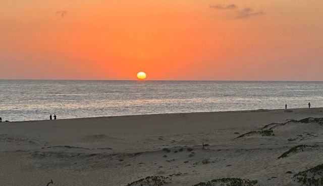 Chasing Sunsets in Cabo - Pacific Ocean Beachfront 1B/1B Luxury Junior Suite