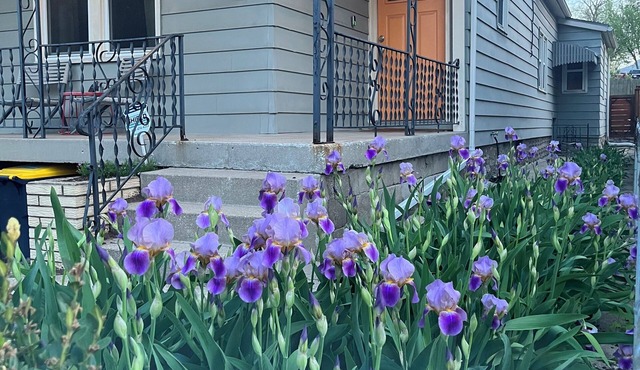 City Dweller - Pure Charm 3-bedroom house in Kansas City