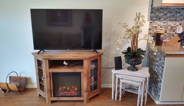 COMFORTABLE FAMILY STYLE/LARGE PROPERTY/PET FRIENDLY VACATION HOME!