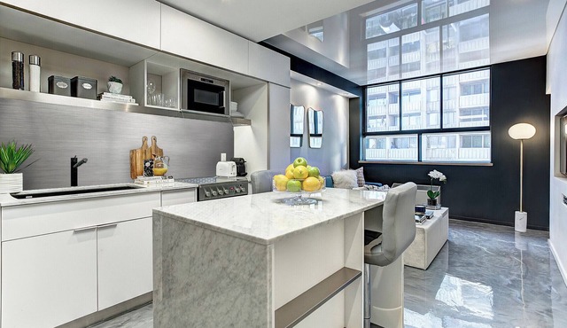 Contemporary Loft with All Amenities