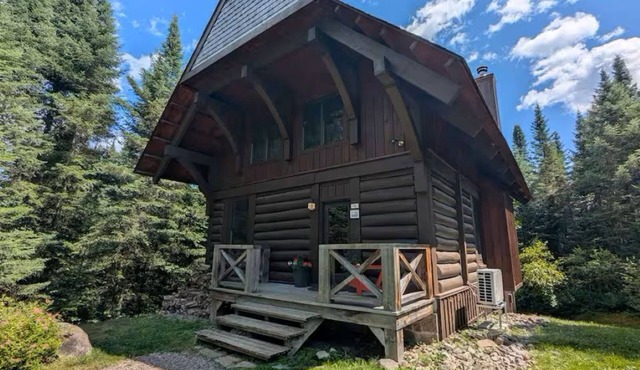 Cozy Comfy AC Chalet Louie has 4 bedrooms, Spa,Pool, lake, Pet-Friendly!