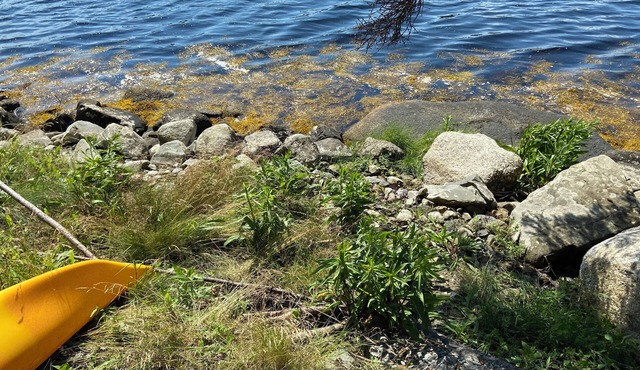 Cozy private waterfront cottage on the Eastern shore. Just 1.5hrs from Halifax. in Tangier
