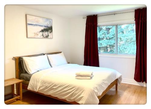 Cozy Queen room with Shared Bath near Seneca Donmills Finch