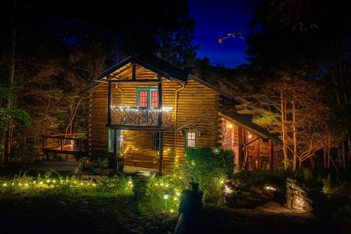 Crabapple-Secluded cabin with pond creek access, hot tub, fire pit in Blue Ridge