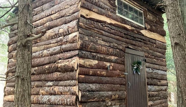 Cute Wooden Cabin with Pond Views in Ontario