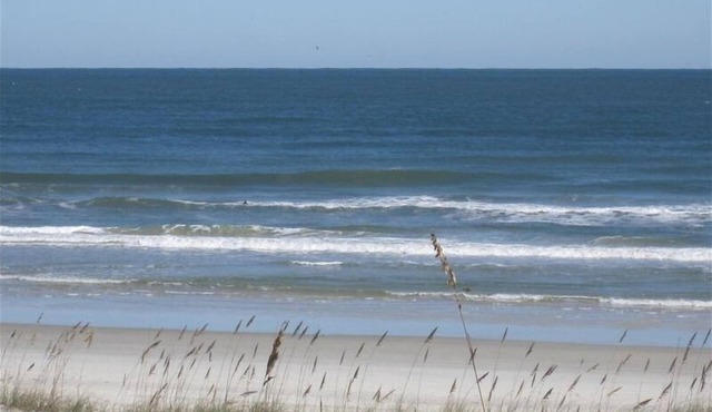 Direct Oceanfront & private, dog friendly, 2BR house, July/August availability. in St. Augustine